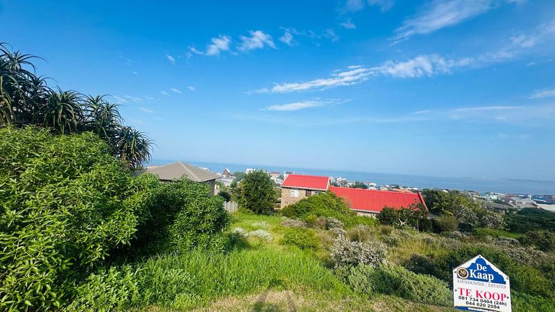 0 Bedroom Property for Sale in Reebok Western Cape